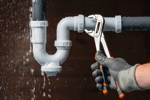 Professional Plumbing technician working in Quinlan, TX